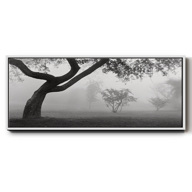 Into the Mist - Toile avec cadre