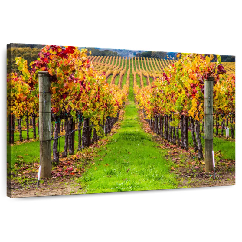 Yarlin California Spring Vineyard, 32" H x 48" W