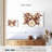 Abarca Splashing Drums-107844088