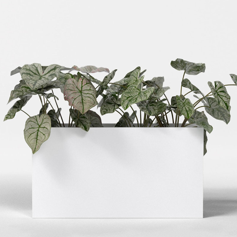 Greenline Fiberglass Alice Large Indoor/Outdoor Rectangle Planter -, 32" H x 16" W x 60" D, Matte White