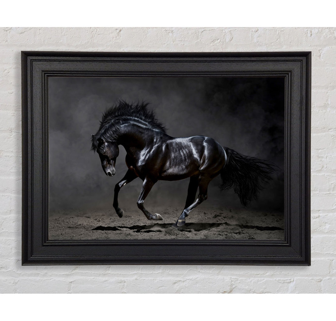 Black Beauty Horse - Einzelner Bilderrahmen Druck