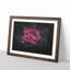 Abstract Red Rose - Picture Frame Graphic Art Print-56875927-56875928
