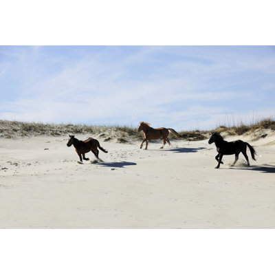 Mustangs Running Among Sand Dunes - Wrapped Canvas Print