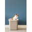 Plastic Enclosed Litter Box