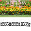 Deidamia 25cm H x 60cm W Edging-263590839