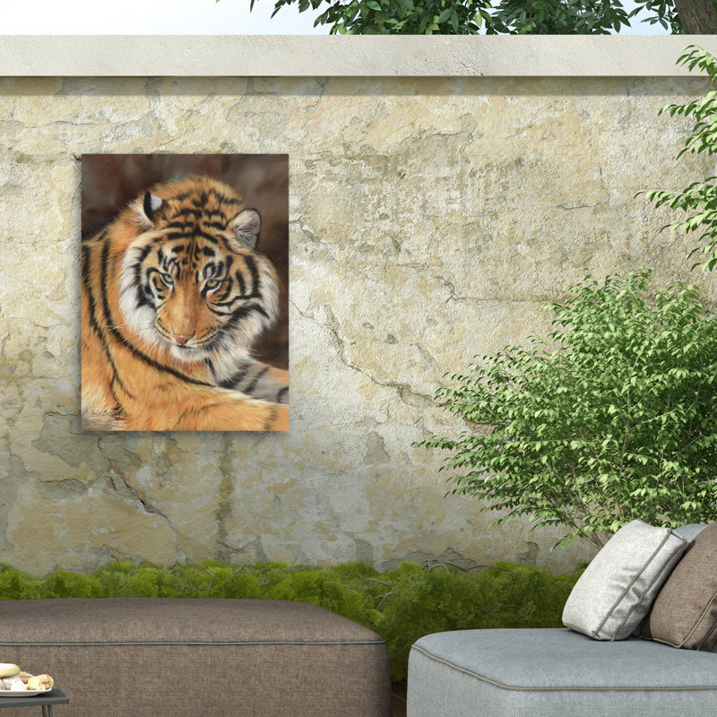 Toile d'extérieur David 10 Stribble Tiger 10, H 14 po x l 19 po