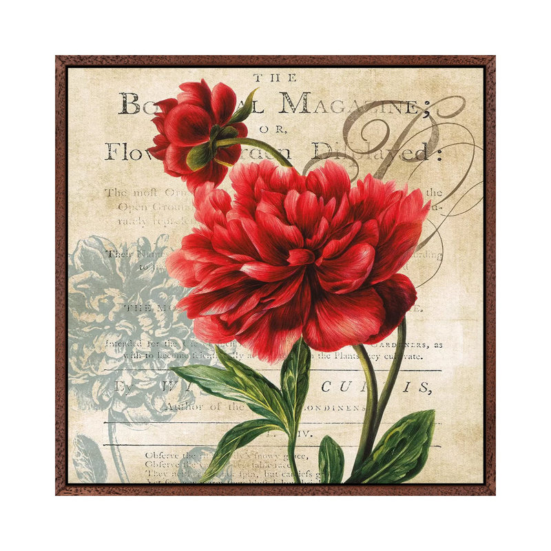 The Botanical Magazine by Carol Robinson - Print on Canvas, 45.72 cm H x 45.72 cm W, Classic Brown Wood Framed