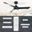 54'' 3 - Blade Propeller Ceiling Fan With Lights Kit And Remote Control