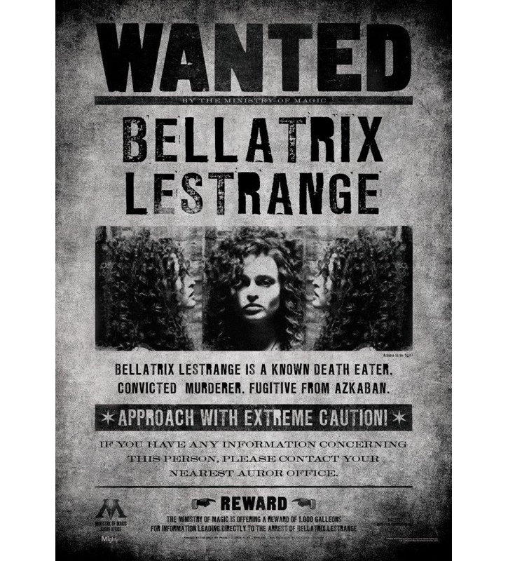Décoration murale Harry Potter Voulu Bellatrix Lestrange