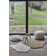 Sheep Of The World Hand Tufted Wool Area Rug in Sheep White