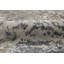 Horizons Area Rug