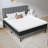 8 Inch Medium Firm Memory Foam Mattress,Free Fiberglass And Body Support-1527549094