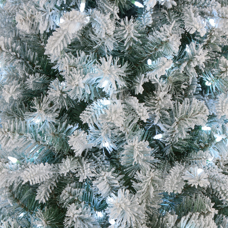 Arbre de Noël bleu avec lumières DEL The Holiday Aisle®, 6'