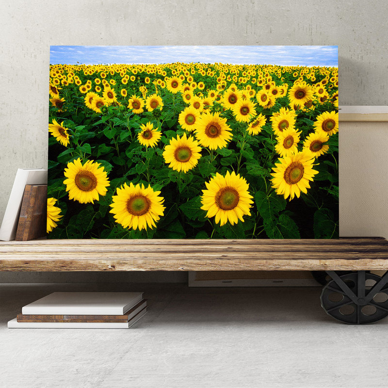 Yellow Sunflower Photographic - Wrapped Canvas, 50cm H x 76cm W