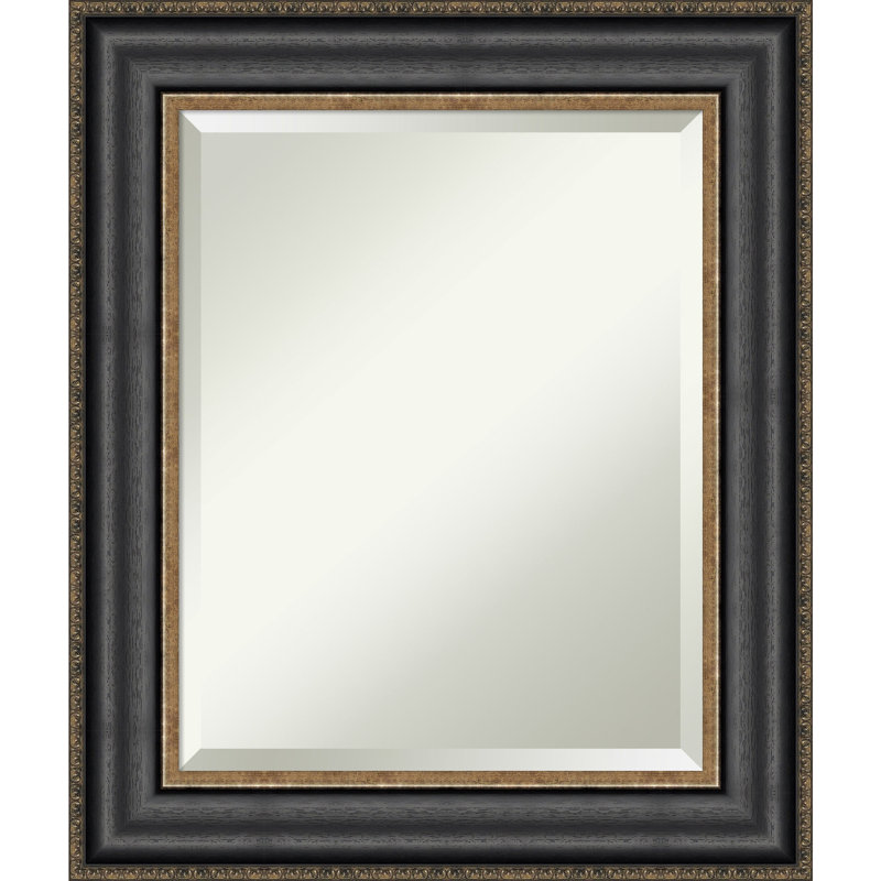 Miroir d'appoint mural Dyana, 25,75 po x 21,75 po, Bronze