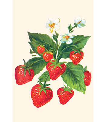 « fraises et fleurs », impression