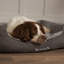Cosy Polyester Pet Bed-75221183