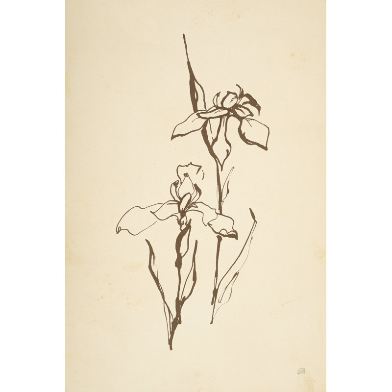 «Vintage Line Iris II» par Chris Paschke - impression, H 18 po x l 12 po, Toile tendue