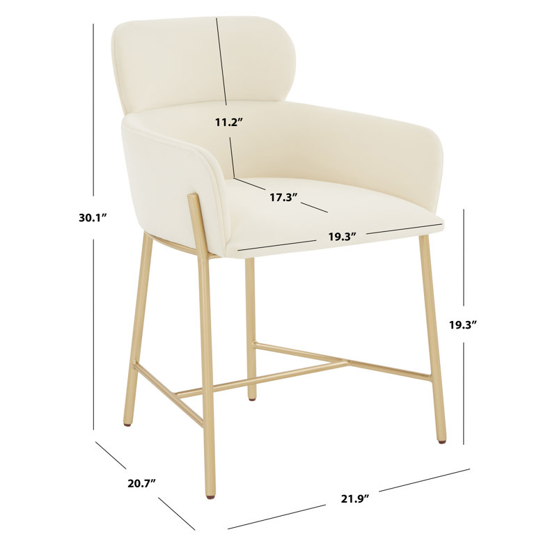 Tighe 19.3'' H Upholstered Armchair, Ivory, Black