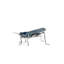 Grasshopper