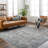 Skagway Oriental Machine Woven Polyester Area Rug in Slate-679758553