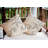 Animal Print Reversible Throw Pillow-1606568840-1606568846
