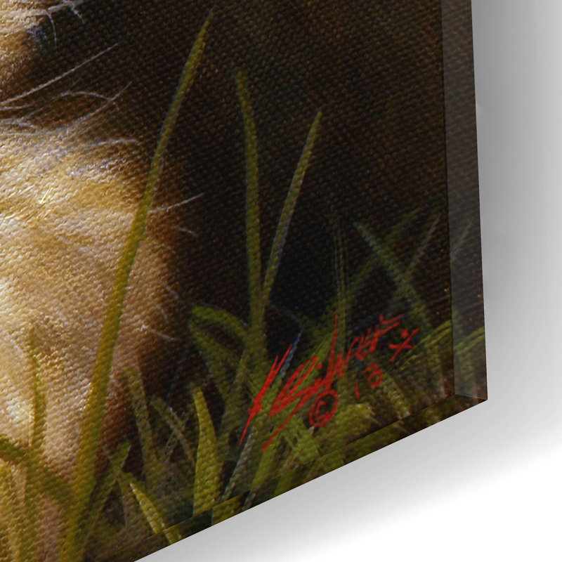 «Border Collie Garden» par John Silver, H 12 po x l 16 po x P 0,13 po