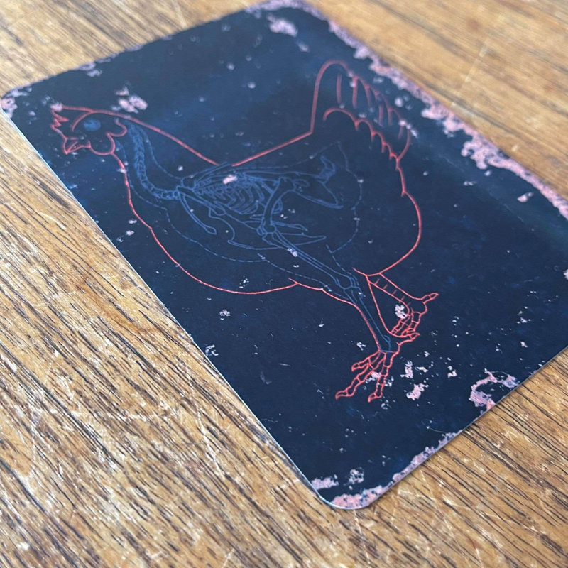 No Frame Print on Metal, 20cm H x 15cm W