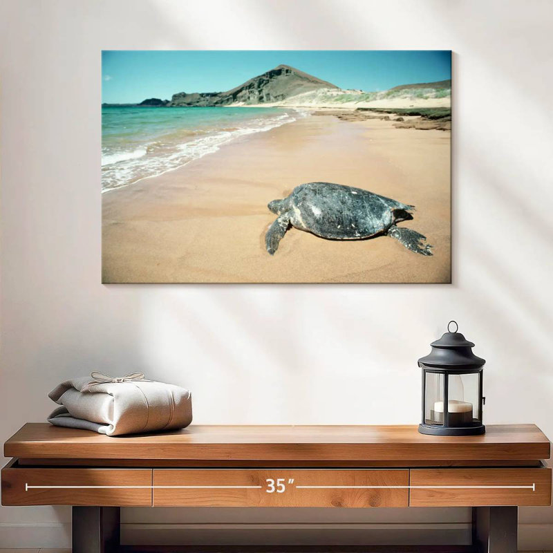 Brampt Galapagos Loggerhead Turtle, 16" H x 24" W