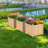 Delanna Planter Box