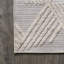 Sumeyya High-Low Pile Art Deco Geometric Beige Indoor/Outdoor Rug-555564433