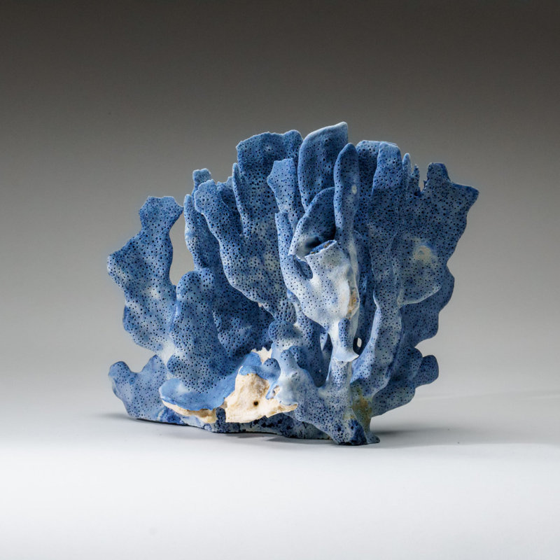 Genuine Blue Ridge Coral (7", 1.5 Lbs)
