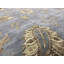 One-of-a-Kind 8'11" X 12' Area Rug