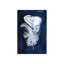 Indigo Feathers II Print by Barclay Butera-30726361-30726362