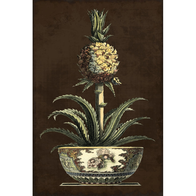 Potted Pineapple II by Vision Studio - Wrapped Canvas Print, 46cm H x 30cm W x 3.8cm D