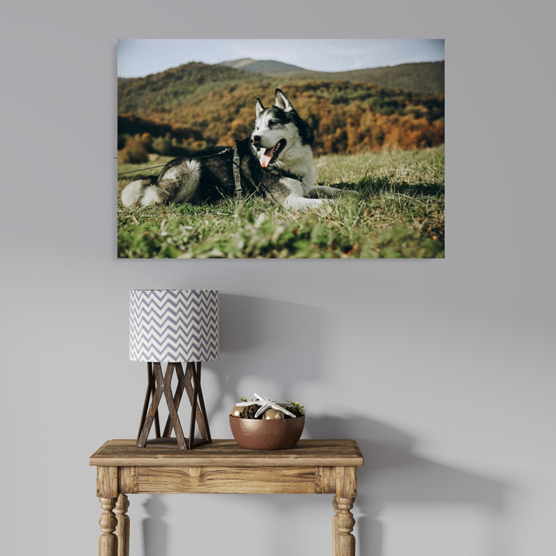 Husky Lying Down in Grass, 8" H x 12" W