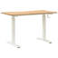 Adjustable Standing Desk-1734874605-1734874606