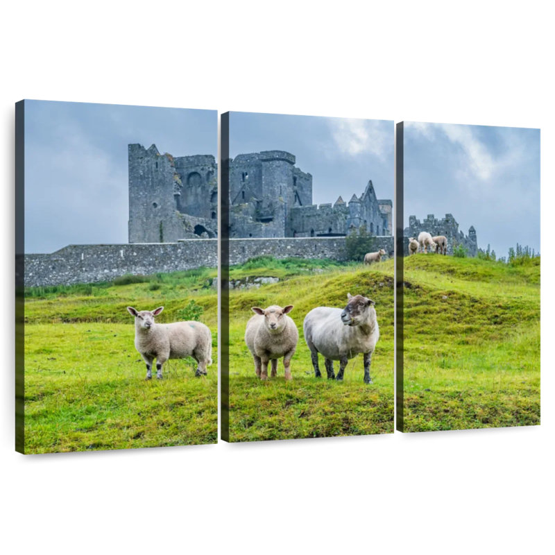 Brampt Rock Of Cashel Sheep, 24" H x 38" W