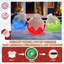 Gutierrez Lighted Ornaments Outdoor Christmas Decoration
