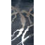 Silver Silhouette I Print by Beverly Fuller-26671666