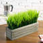 25 cm Artificial Grass in Planter-845832997