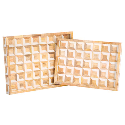 Hendrix Resin/Mango Wood/Mdf Tray Set