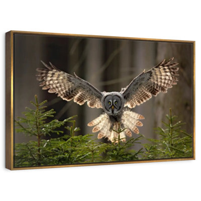 Hibou volant