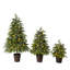 Ensemble de 3 sapins de Noël en pot pré-illuminés Everglow, 60 cm, 90 cm et 120 cm.