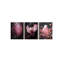 3 Piece Wrapped Canvas Print