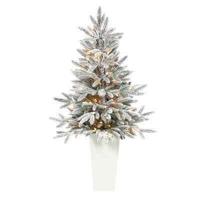 Manchester 3.67' Green Spruce Artificial Christmas Tree with 50 Clear Lights -  The Holiday Aisle®, 6ADFE5B6C2CE45E29A6C90348A7A8B54