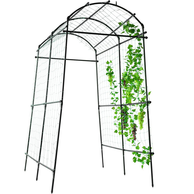 Belleze Treillis de jardin pour plantes grimpantes d'extérieur - Wayfair  Canada