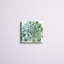 «Verdant Succulent II», peinture sur toile-1389311652-1389311673