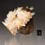 Calcite sur la matrice