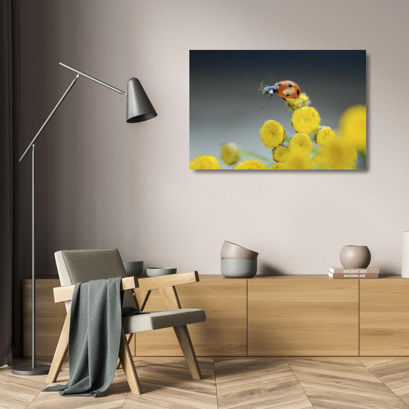 «Latitude Run® Terrill», reproduction d'art sur toile tendue par Steve Gallery: OR, coccinelle Multnomah Co sur une fleur jaune